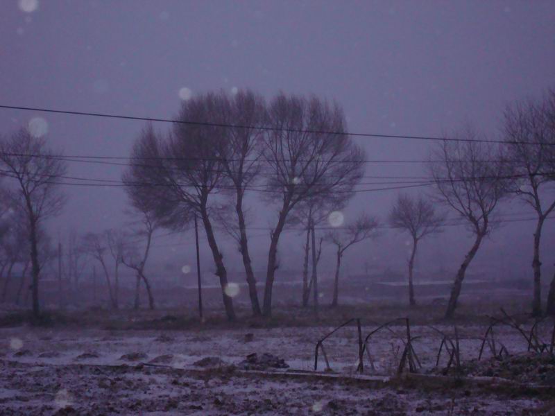 秋雨