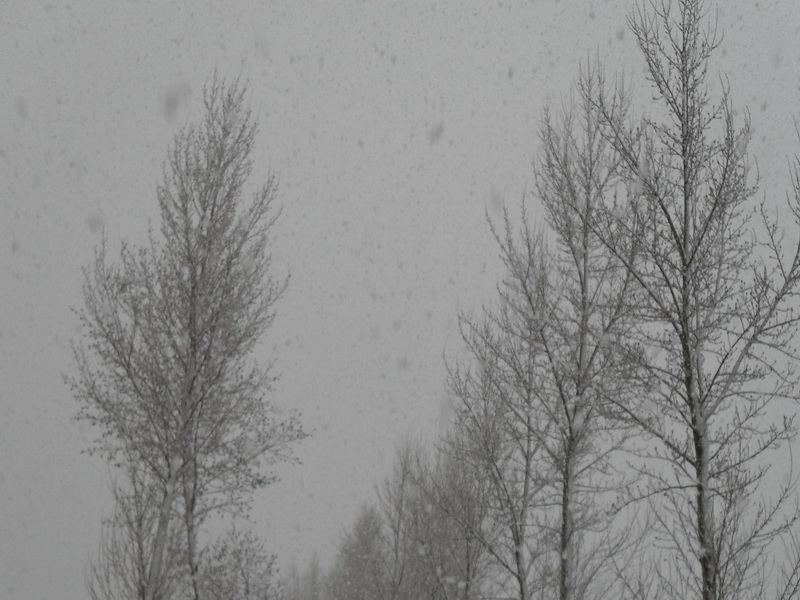 下着大雪
