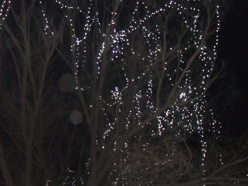 披着银装的公园夜晚